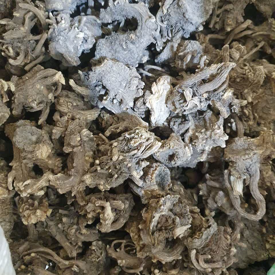 ریشه کرفس 50 گرم
