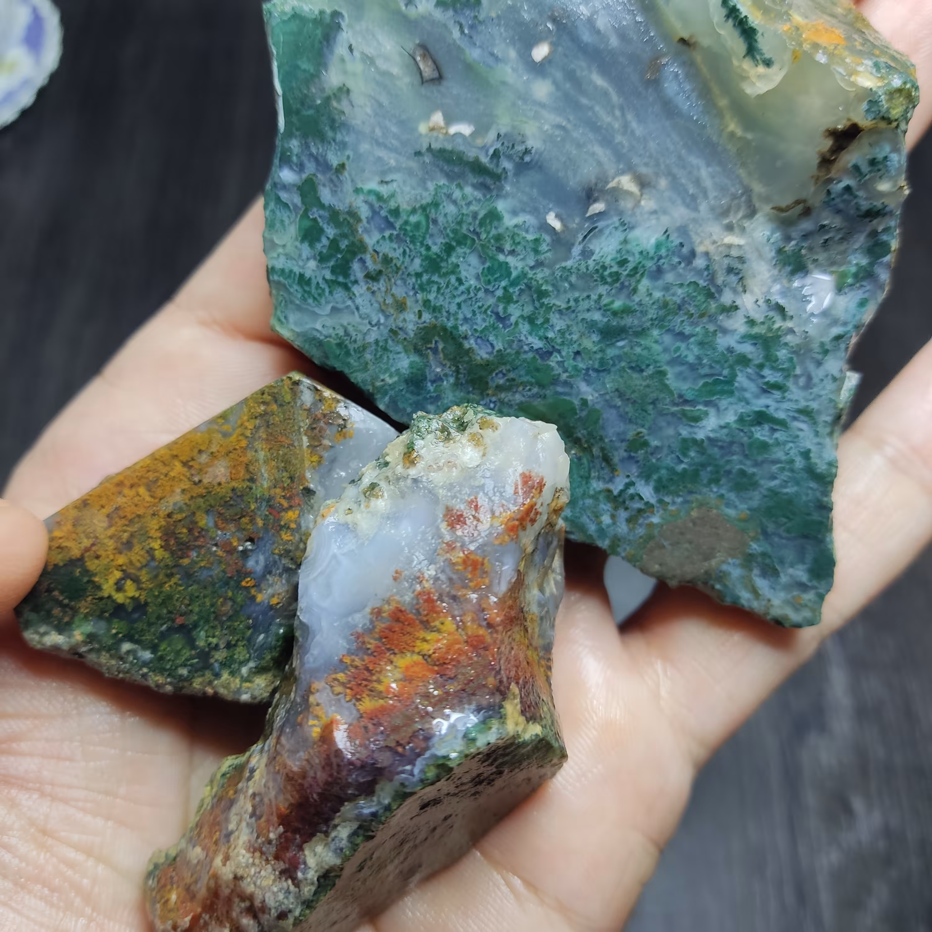 پک سه تایی سنگ راف شجر طبیعی و معدنی چند رنگ با درختان و نقوش زیبا و رنگ بندی بسیار جالب