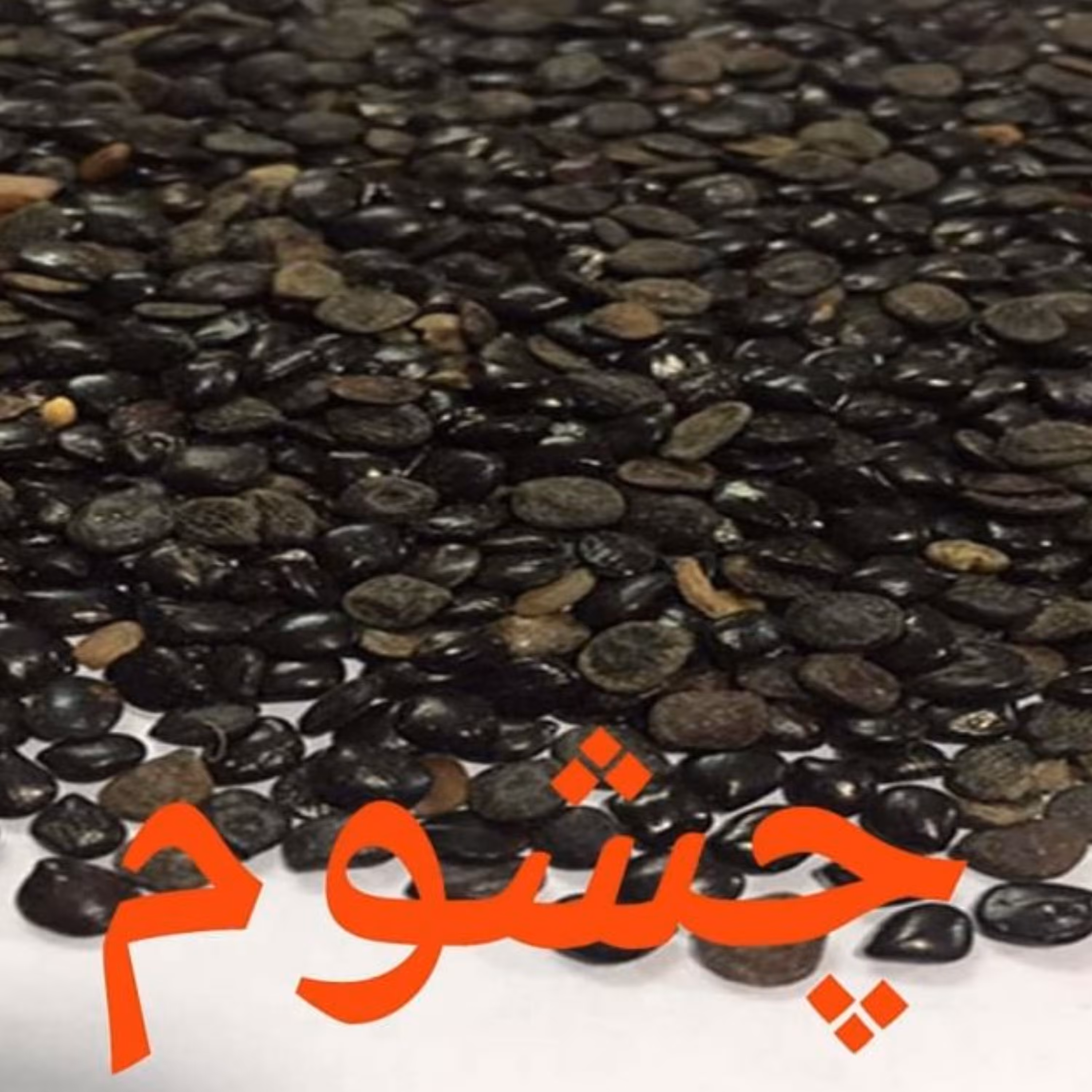 دانه چشوم اصل صد گرمی 