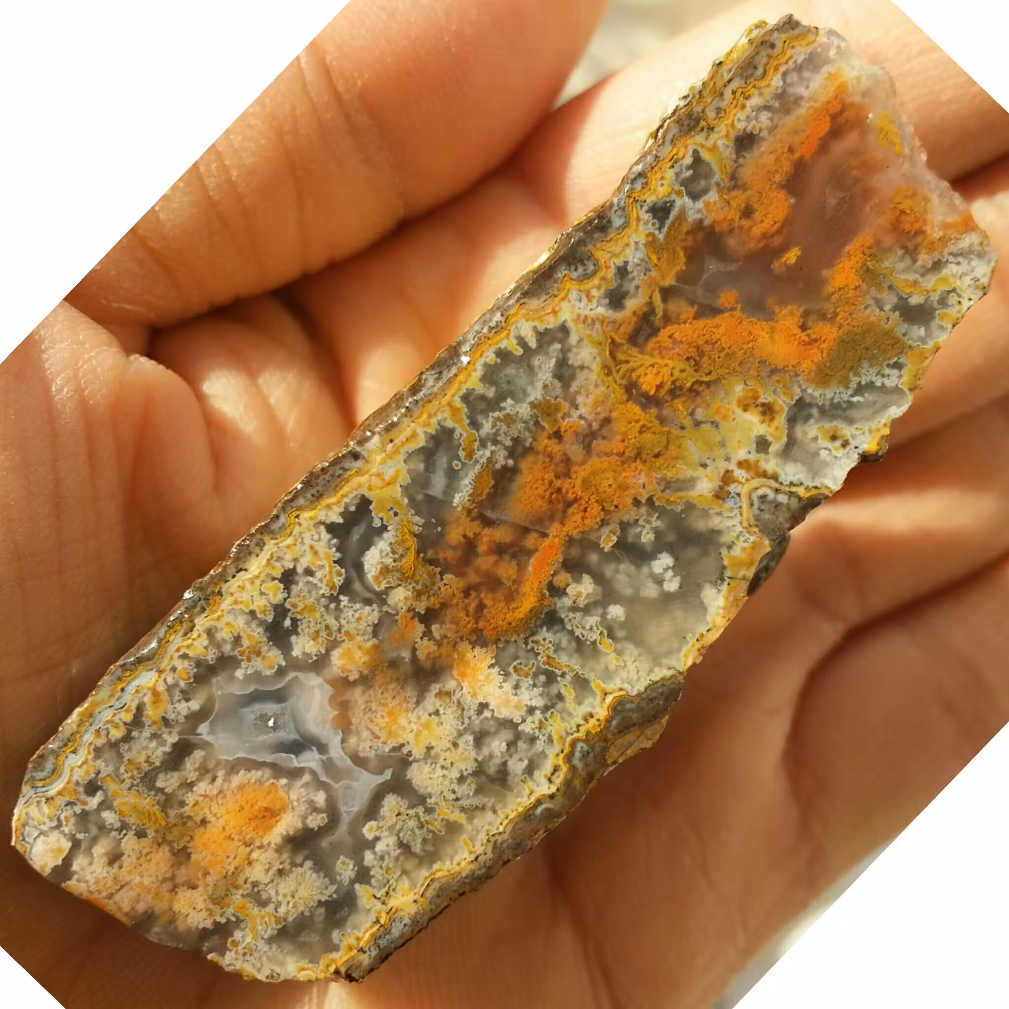 اسلایس سنگ راف عقیق سلیمانی شجر و منظره محشررر دیدنیی کاملا طبیعی شاااهکار خلقت