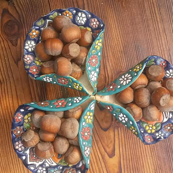 فندق خام  امساله  مخلوط  ریز و درشت  قاطی داره  درجه یک اشکورات  کاملا ارگانیک با آب چشمه همگی مغز پر  خام و درب بسته 