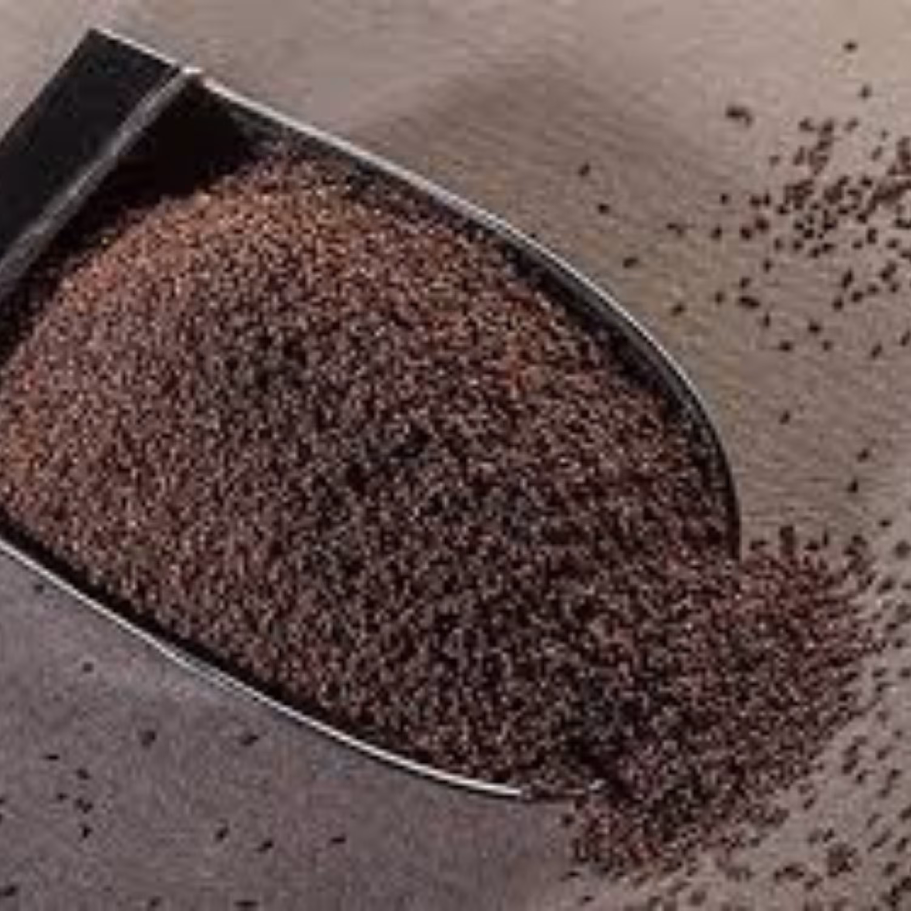 تخم بارهنگ ایرانی 250 گرمی 