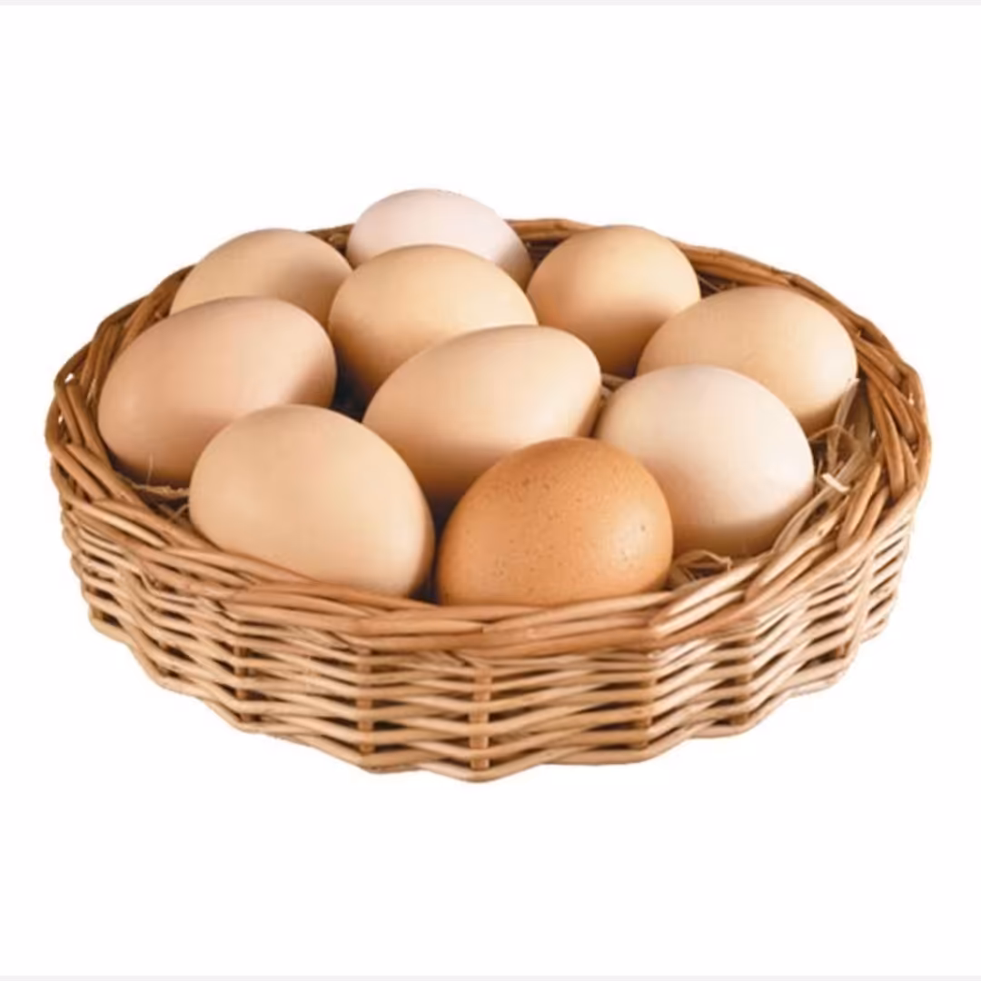 تخم مرغ محلی گلپایگانی ارگانیک و تازه