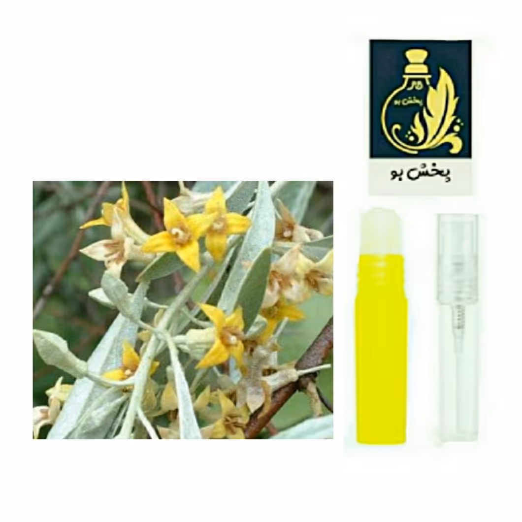 عطر گل سنجد.گریدH. یک میل (توضیحات محصول حتما مطالعه شود)