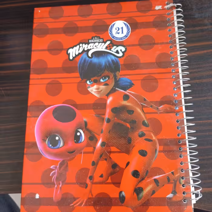 دفتر 100 برگ جلد سخت (دختر کفشدوزکی)