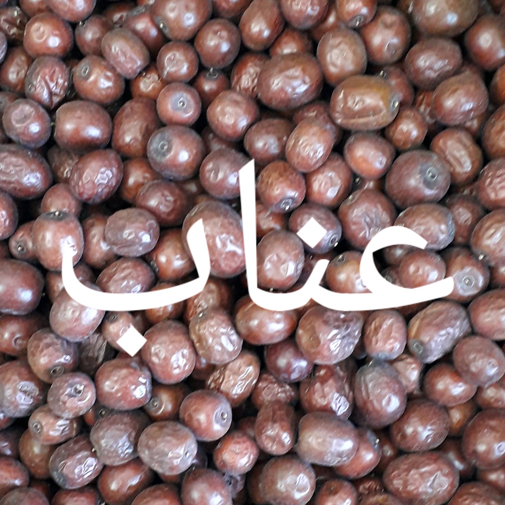 عناب بیرجند