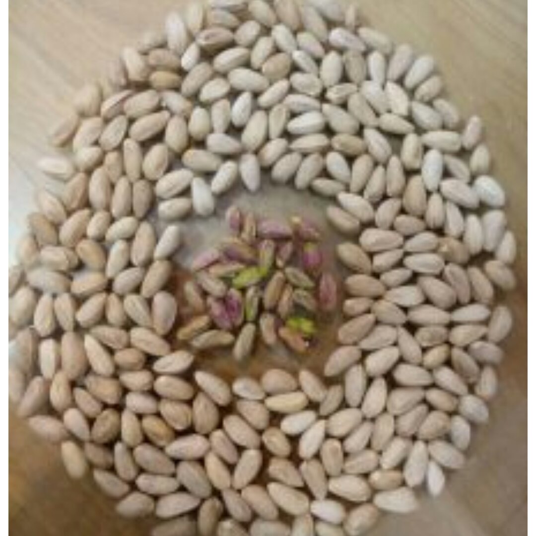 پسته دهان بست