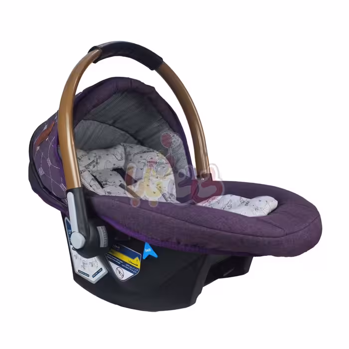 کریر دلیجان مدل بنیتاپلاس طرح هیرو 1