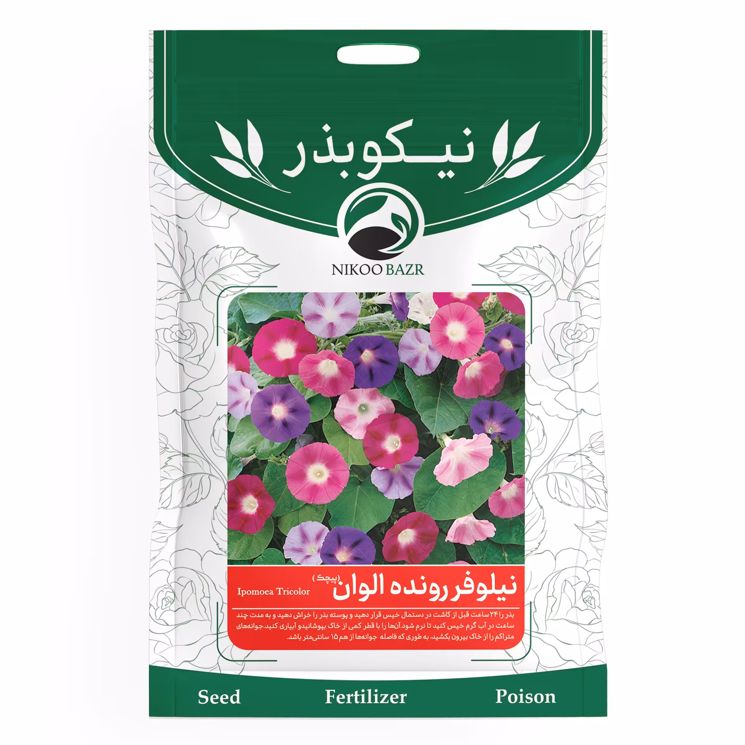 گل نیلوفر رونده اَلوان (پیچک)نیکوبذر