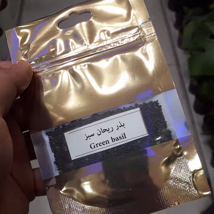 بذر ریحان سبز