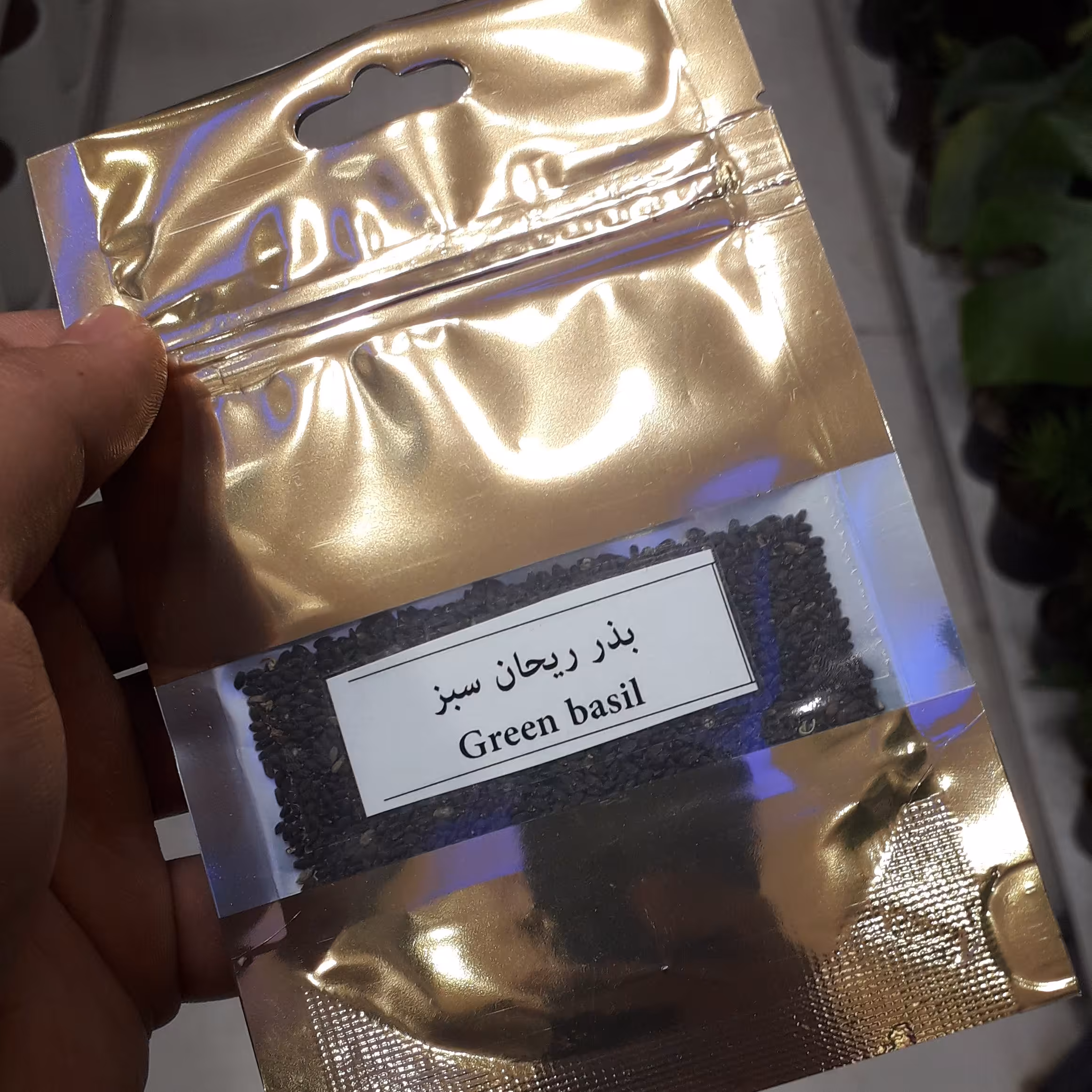 بذر ریحان سبز