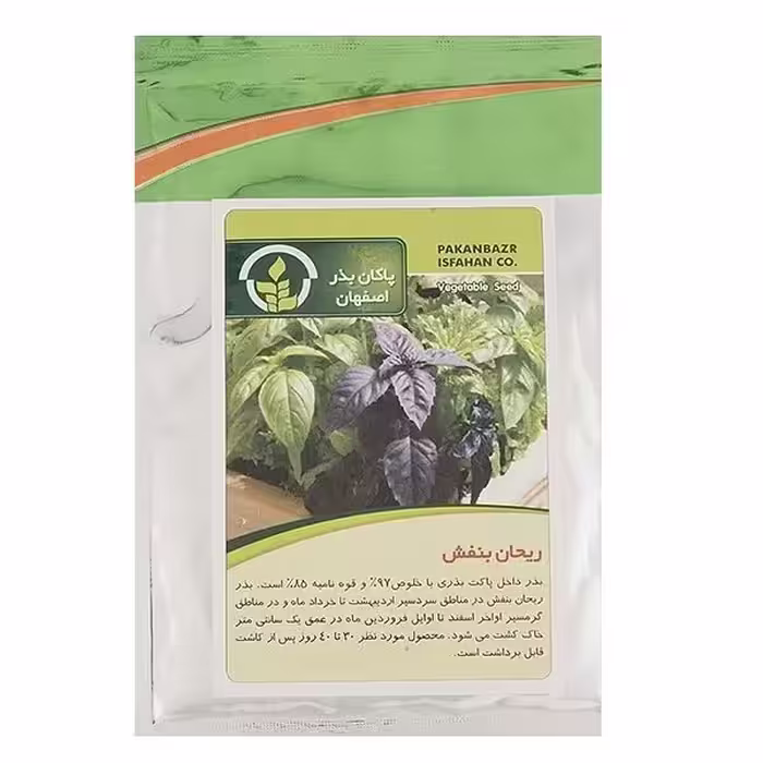 بذر ریحان بنفش پاکان بذر اصفهان