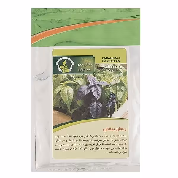 بذر ریحان بنفش پاکان بذر اصفهان