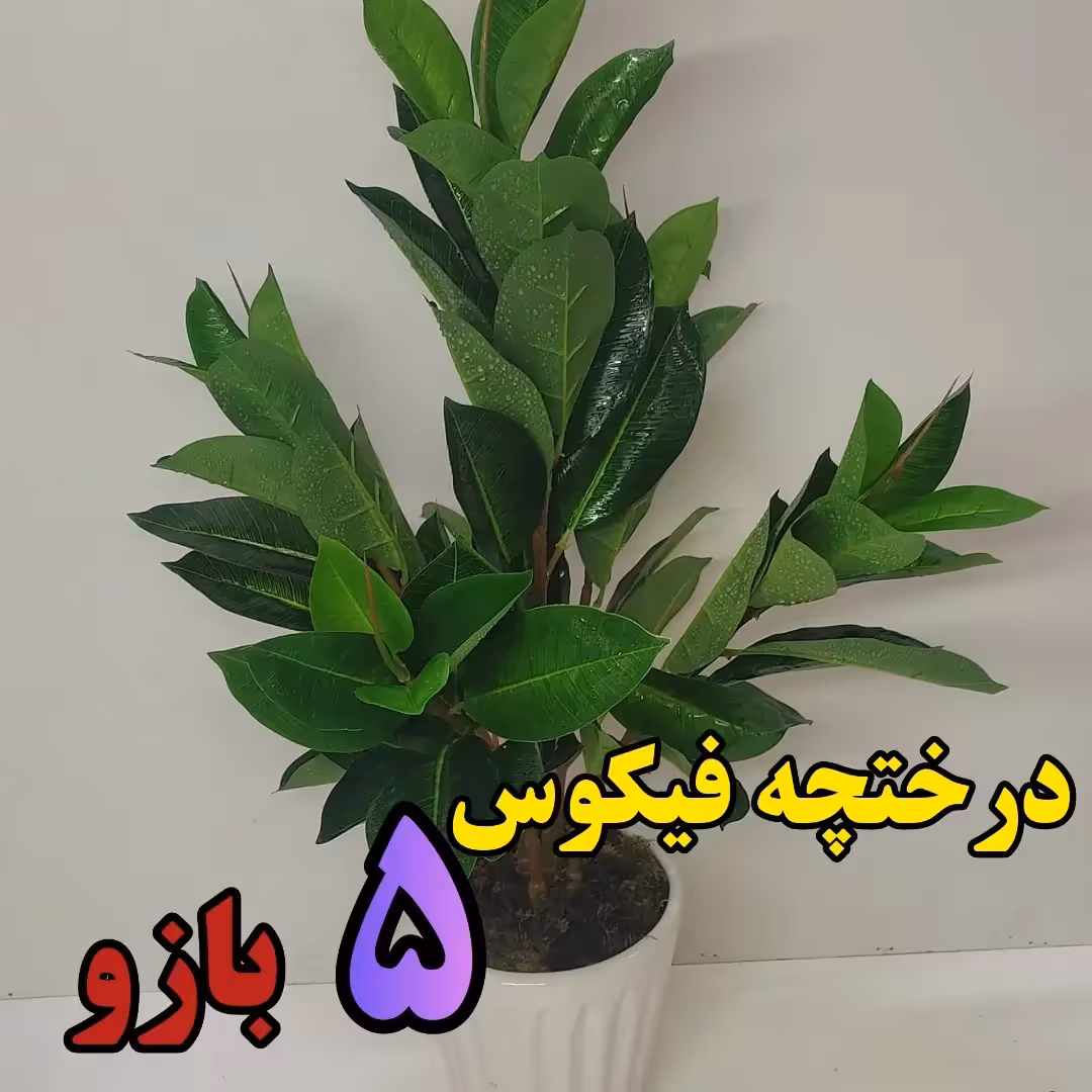 شمشاد آویزوگل مصنوعی درختچه فیکوس 