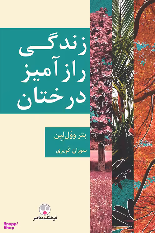 زندگی رازآمیز درختان
