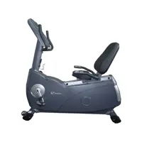 دوچرخه ثابت باشگاهی پشتی دار وی مکس مدل 1000R-G