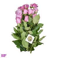 دسته گل رز هلندی یاسی هیمان کد Ro06