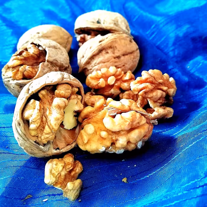 گردو کاغذی پر مغز امسالی (نیم کیلو)