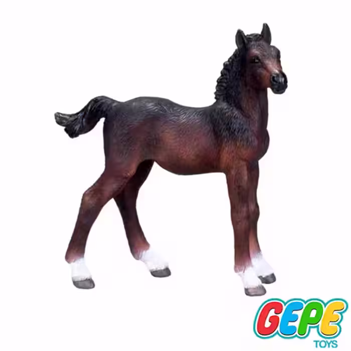فیگور کره اسب هانورین