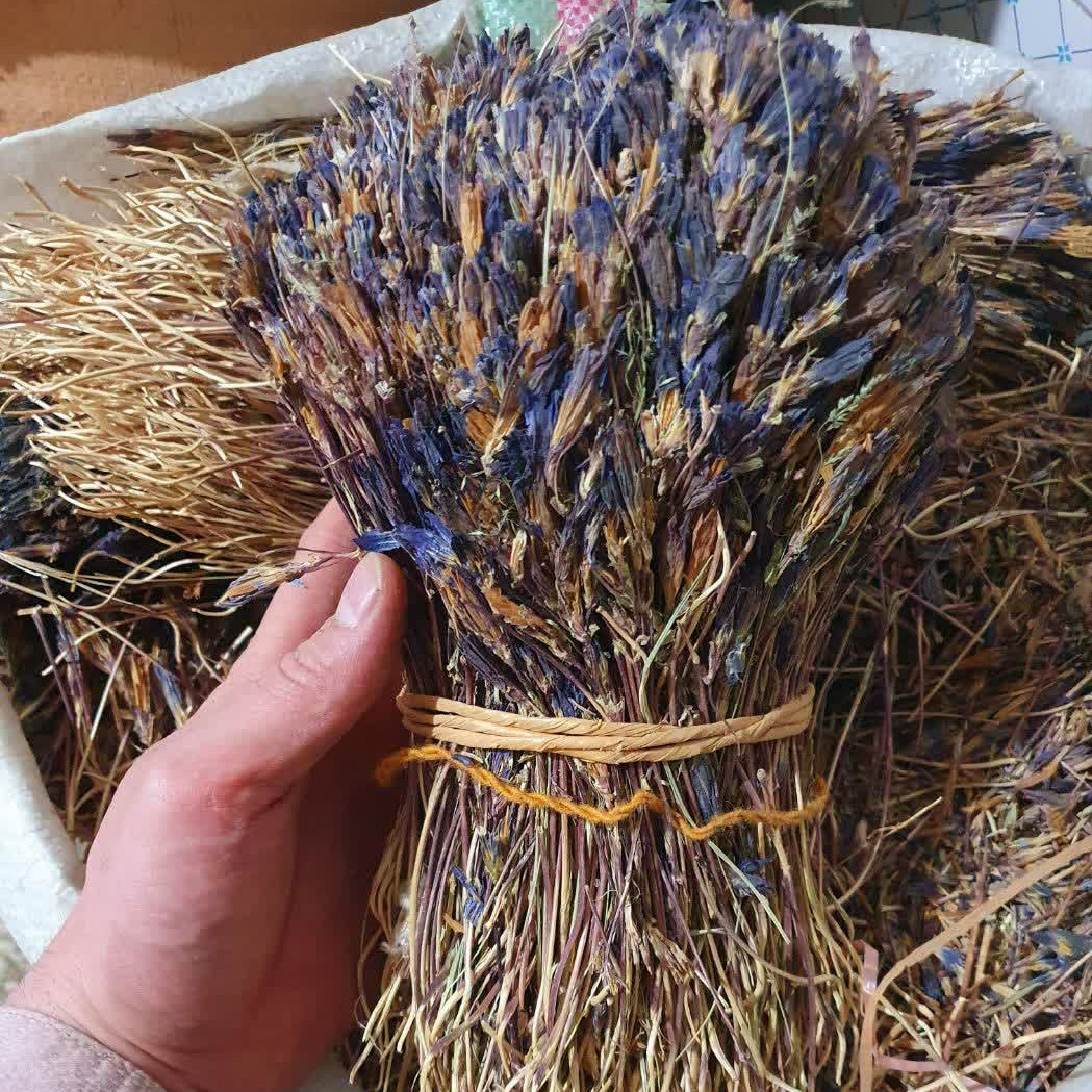 گیاه غافث 50 گرم