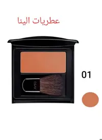 رژ گونه اینلی INLAY 01