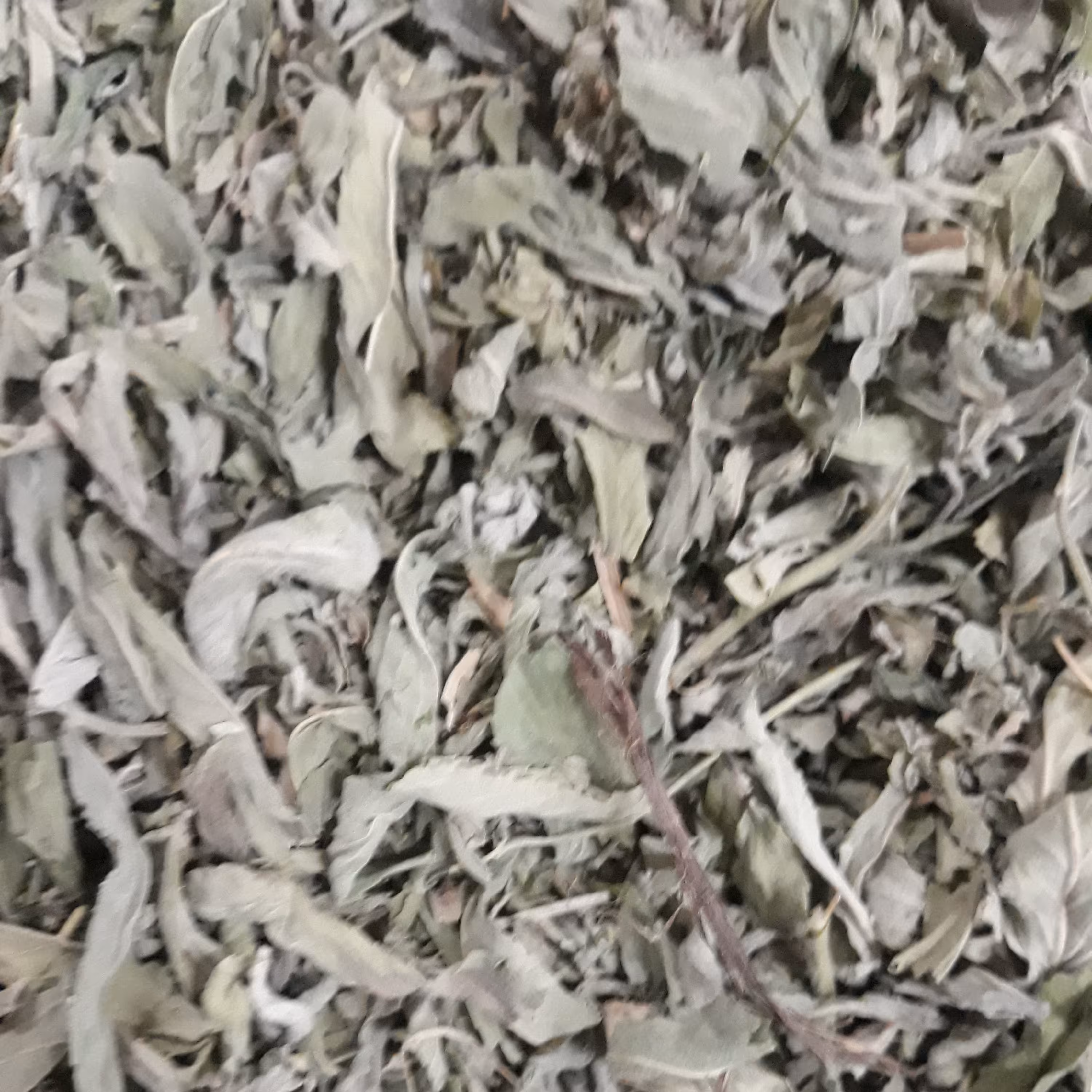 پونه خشک یک کیلویی