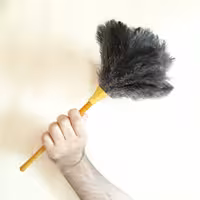 گردگیردست سازطبیعی شترمرغ سایز کوچک