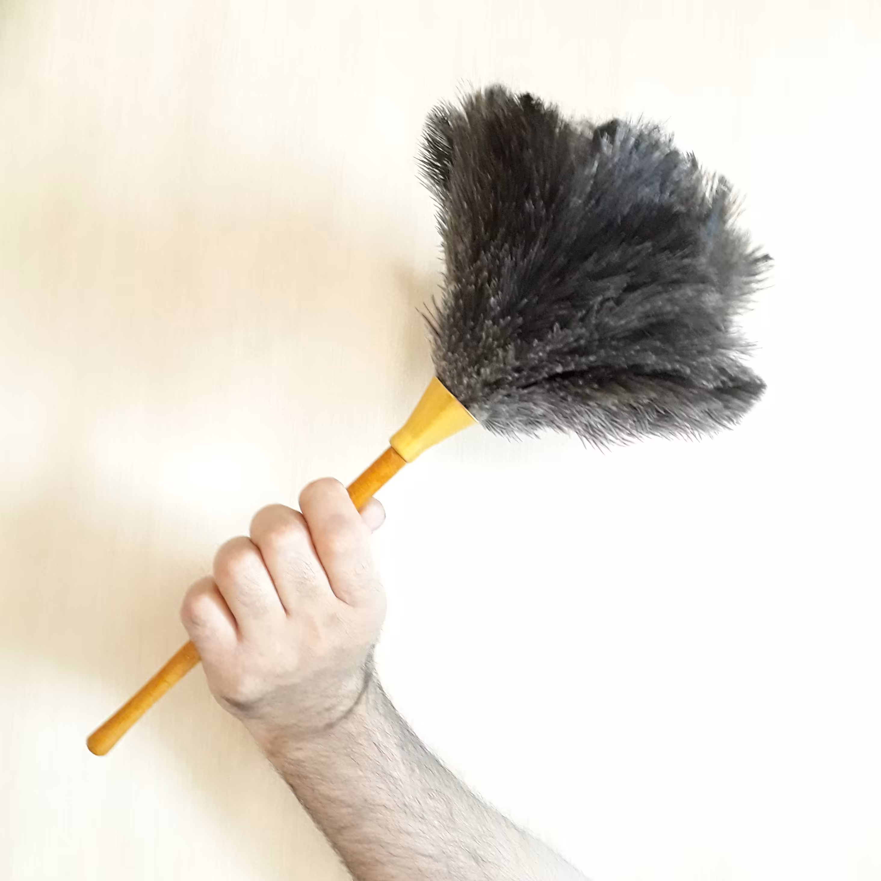 گردگیردست سازطبیعی شترمرغ سایز کوچک