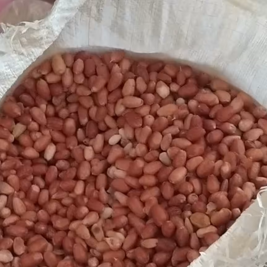 آسیاب محصولات داخل غرفه تا یک کیلو گرم