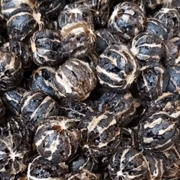 لیمو عمانی توپی