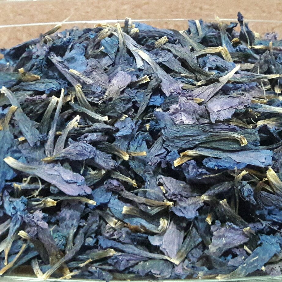 گل گاوزبان