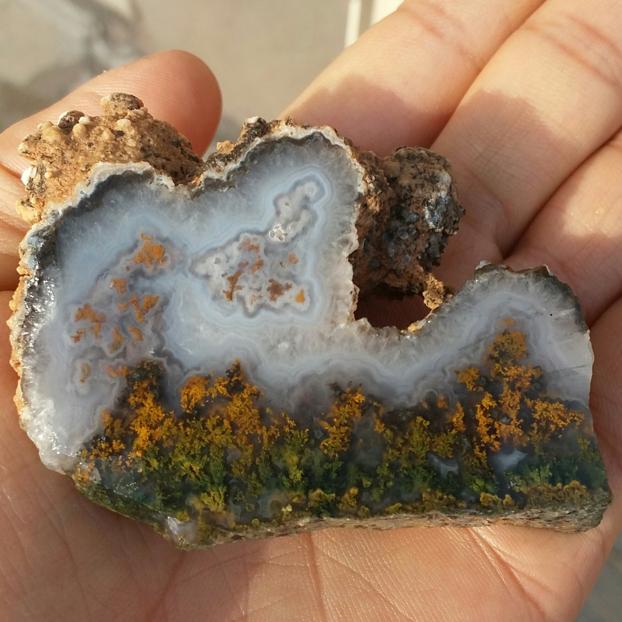 اسلایس سنگ راف عقیق شجر منظره هفت رنگ بسیار کمیاب و فوق قیمتی دیدنی 100 در صد طبیعی شاهکار خلقت خاص
تابلو نقاشی طبیعی