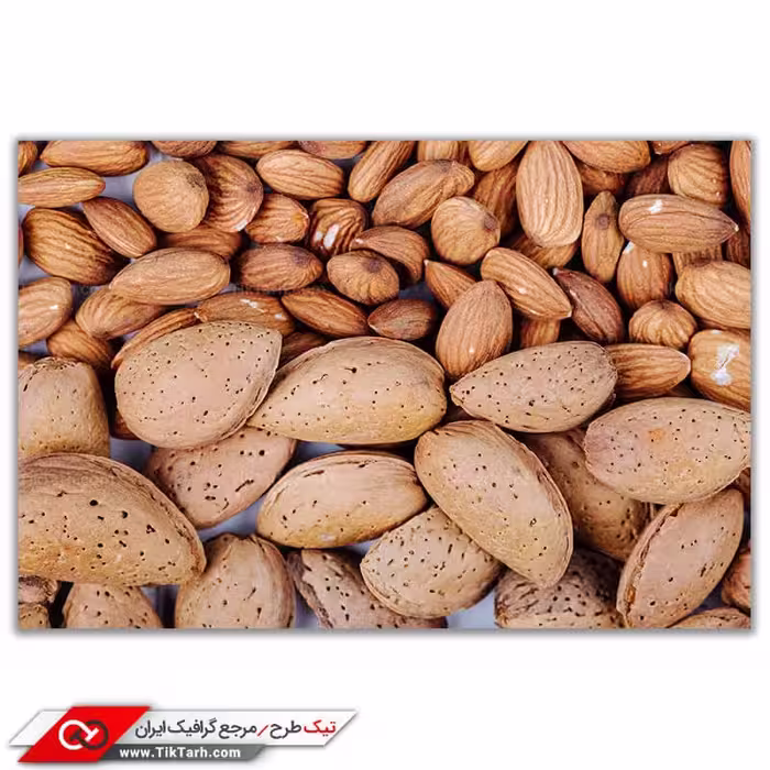 بادم سنگی خراسان جنوبی 