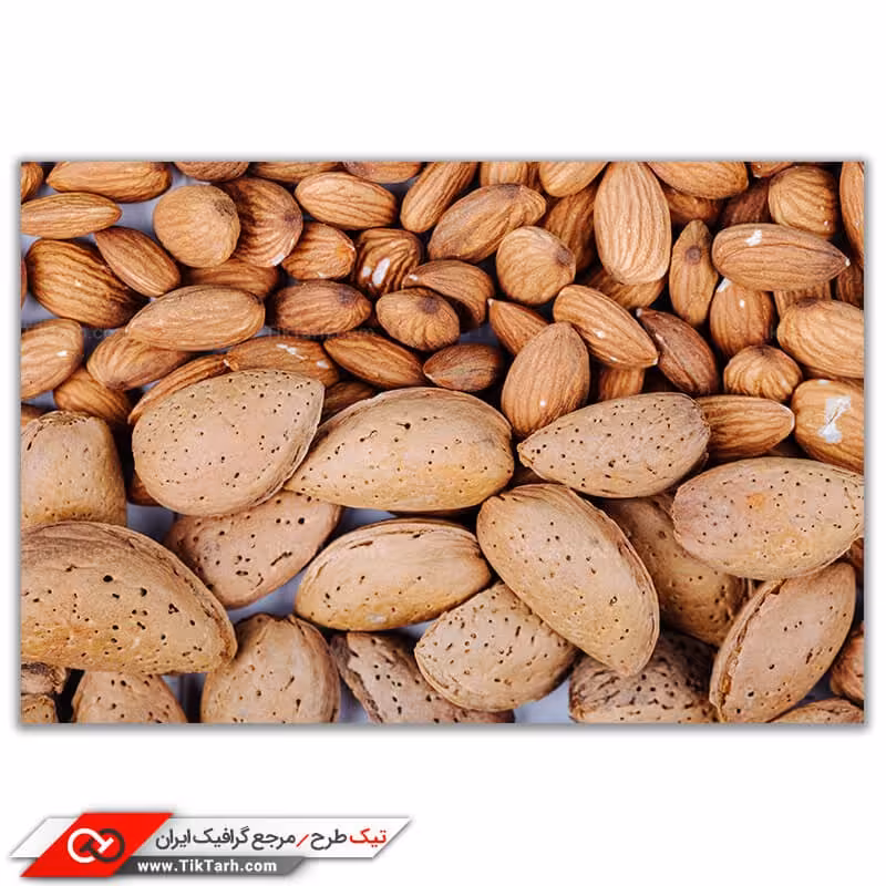 بادم سنگی خراسان جنوبی 