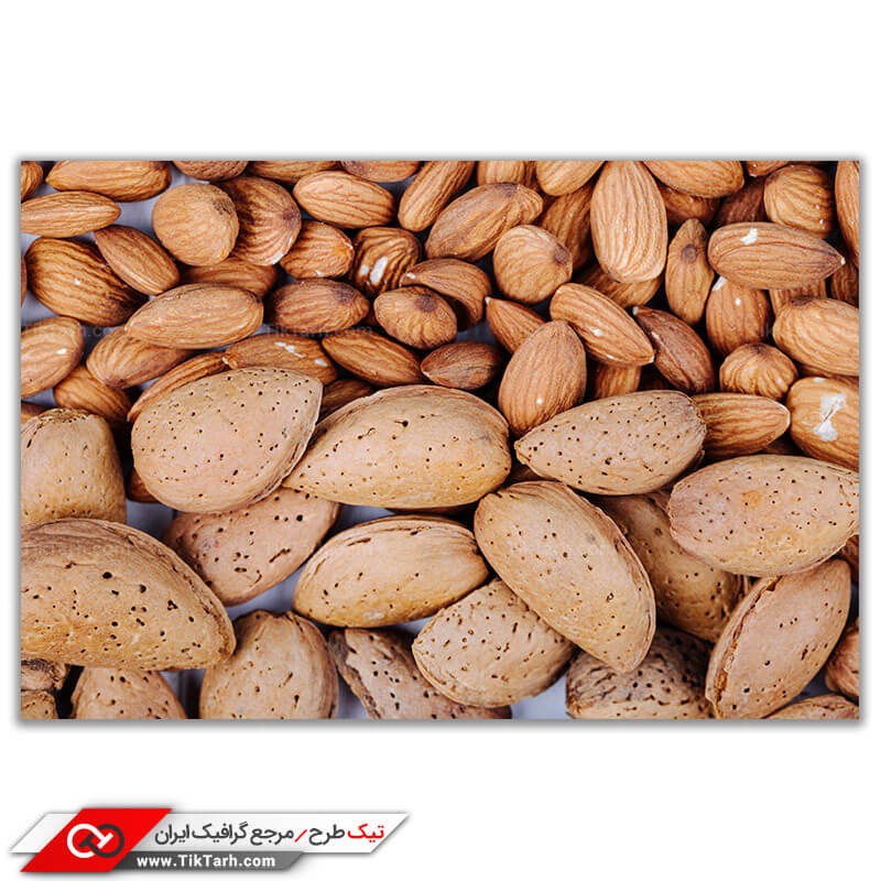 بادم سنگی خراسان جنوبی 