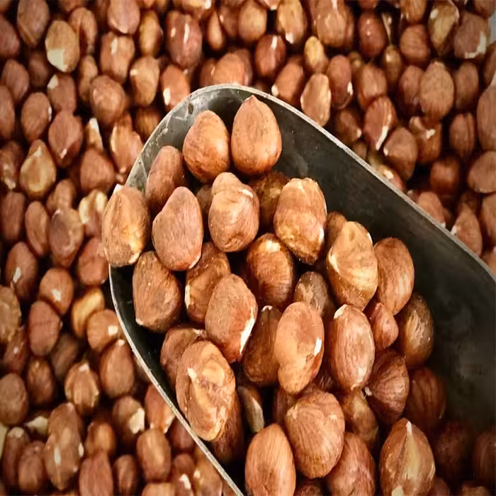 مغز فندق فوق لوکس خام سایز 18 بسیار تازه بسته 500 گرمی با بهترین کیفیت 