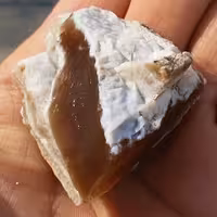 سنگ راف عقیق عسلی خرمایی محشر 
100درصد طبیعی شاهکار خلقت
کد 8445