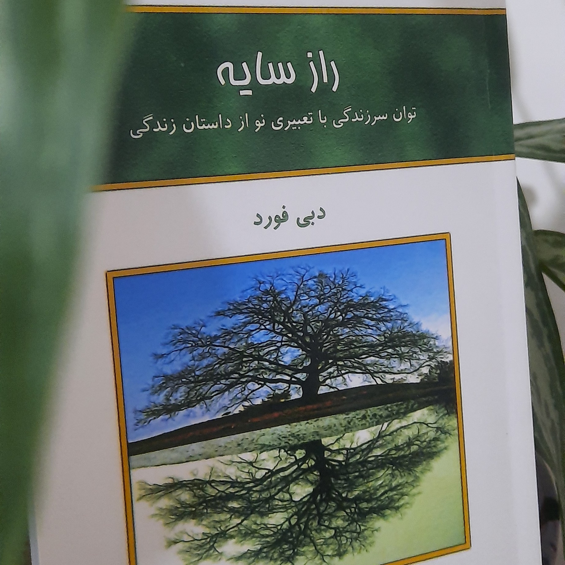 کتاب راز سایه نویسنده دبی فورد