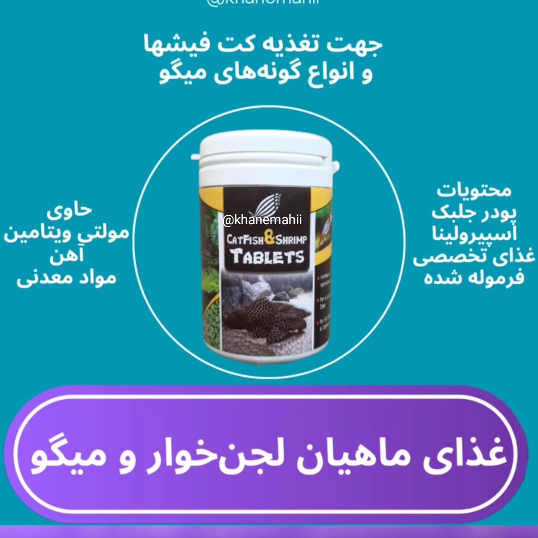 غذای ماهی لجن خوار پلکو  کت فیش  انواع میگو(قرص چسبان)