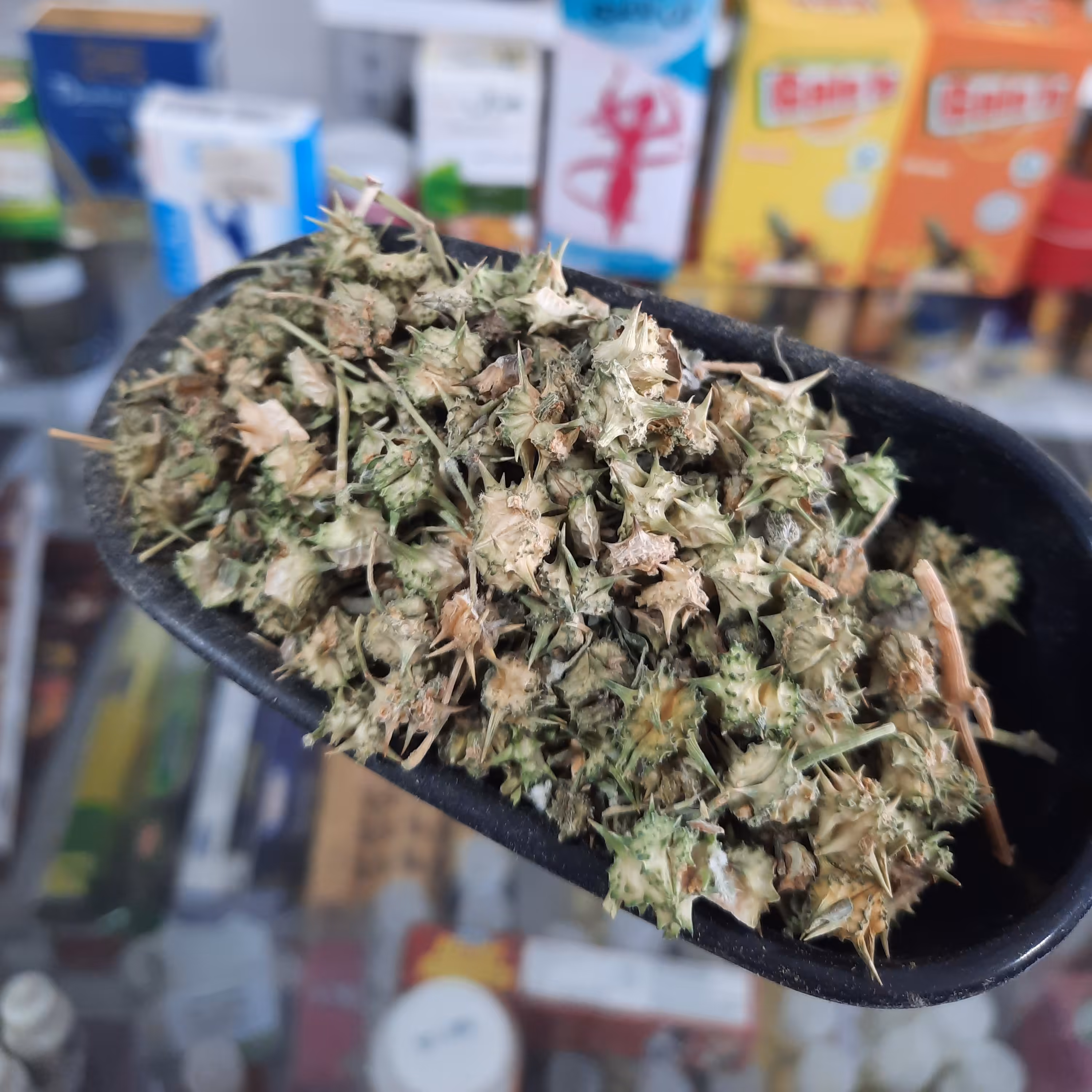 خارخاسک خشک شده