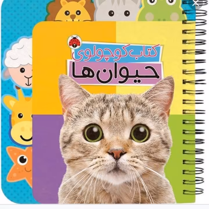 کتاب کوچولوی حیوان ها انتشارات شهرقلم