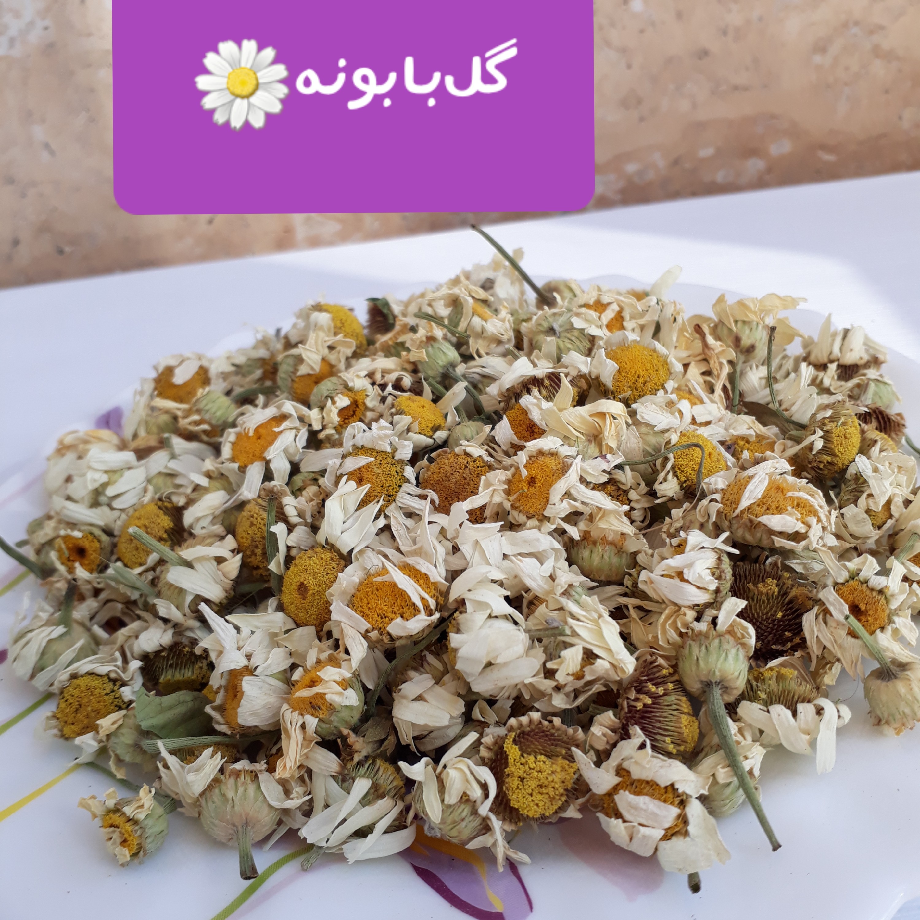 گل بابونه پاکت 100گرمی