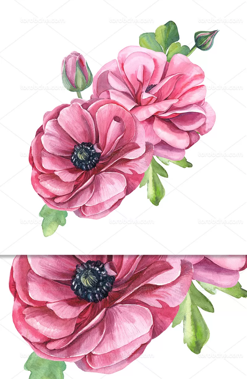 عکس نقاشی گل صورتی | گرافیک با طعم تربچه