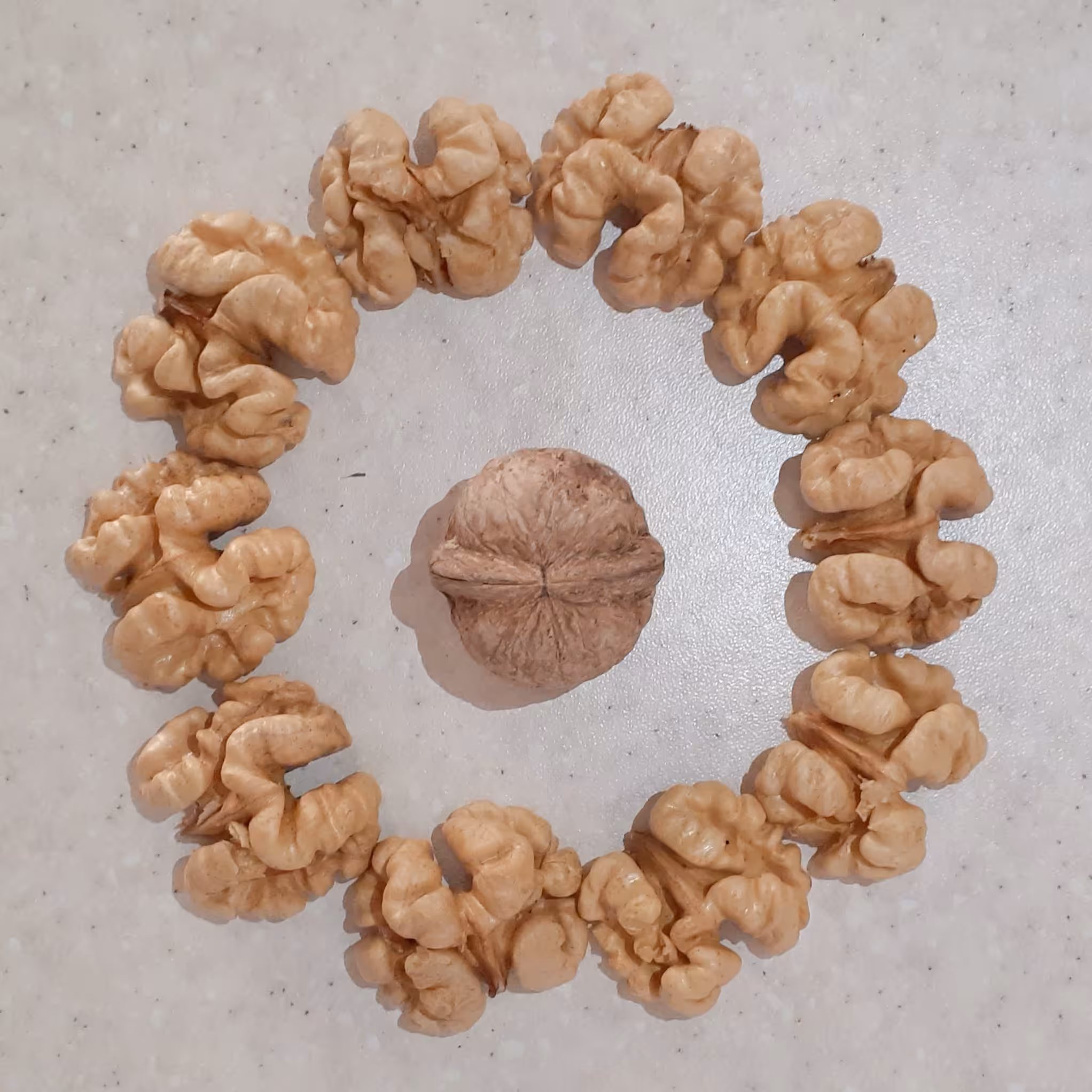 خشکبارنازگل ‌‌‌‌‌‌مغزگردودرجه یک وعالی بسیارسفیدوخوشمزه (1000)گرمی