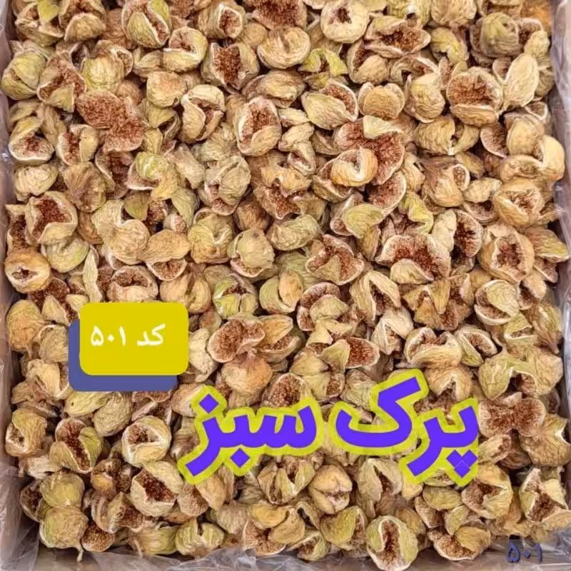 کد 501  انجیر پرک سبز  