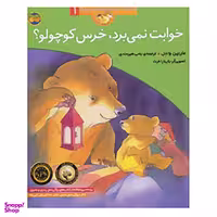کتاب قصه های خرس کوچولو و خرس بزرگ 1 اثر مارتین وادل نشر افق