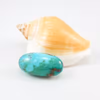 فیروزه نیشابور شاهکار آفرینش با نقش طبیعی و واضح محمد و محسن