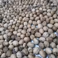 گردو امساله همدان( 5کیلویی)