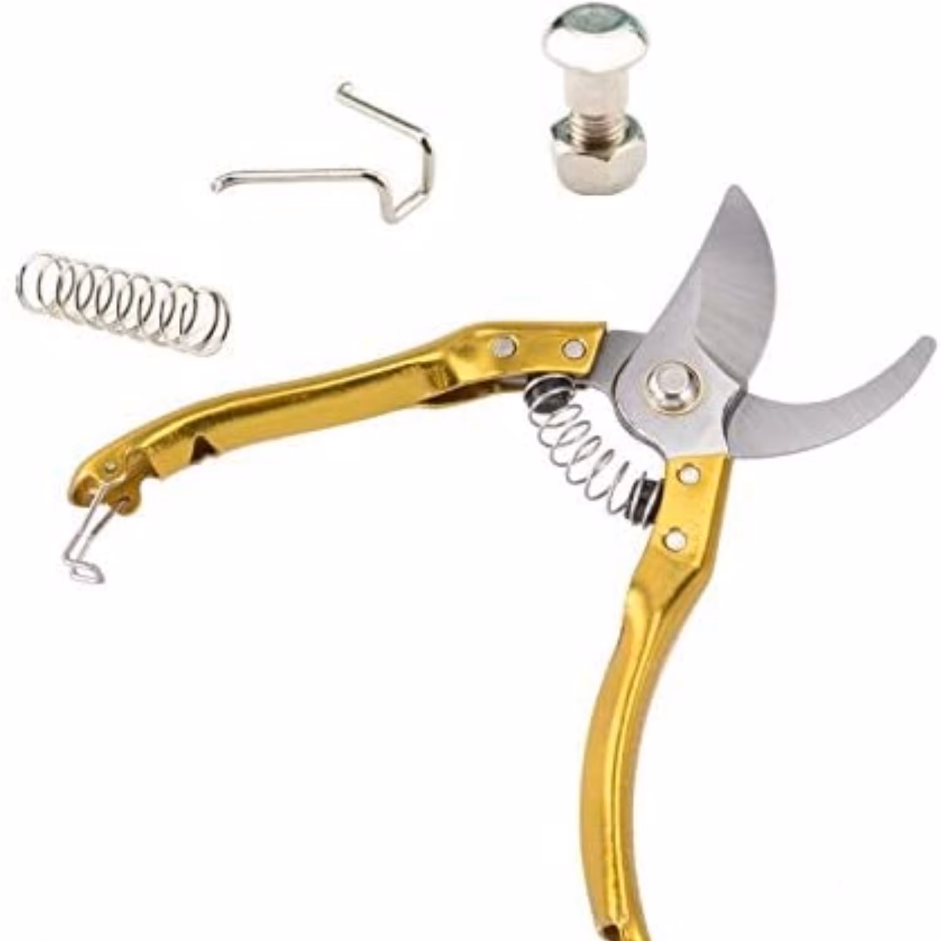 قیچی باغبانی طلایی