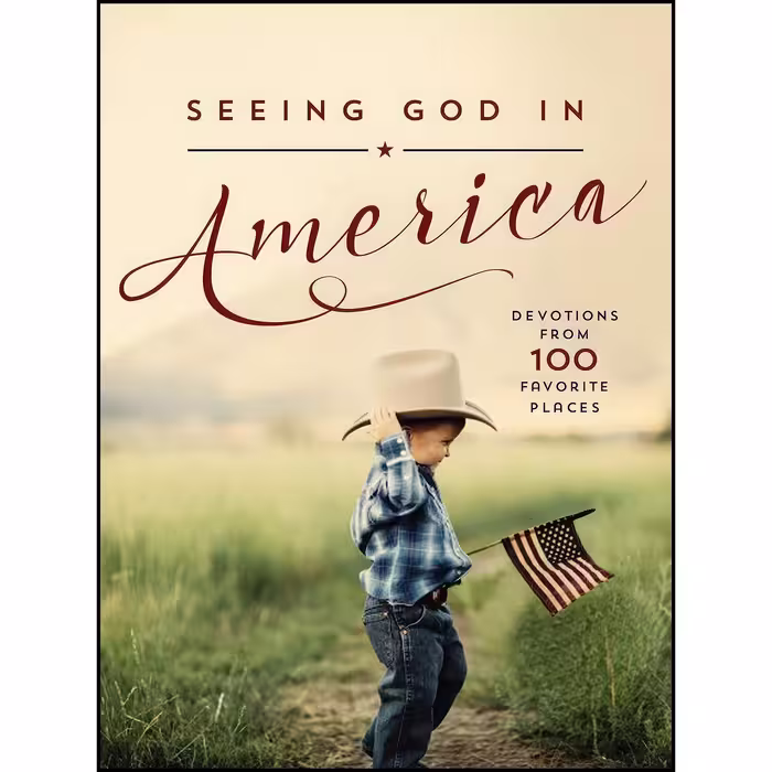 کتاب زبان اصلی Seeing God in America اثر Thomas Nelson